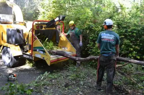 tree services Wamego